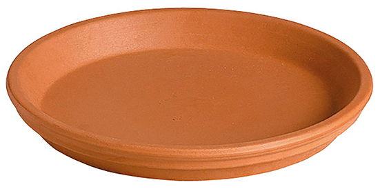 Soucoupe en Terre Cuite Cotto Ø23,5xH.3,1cm